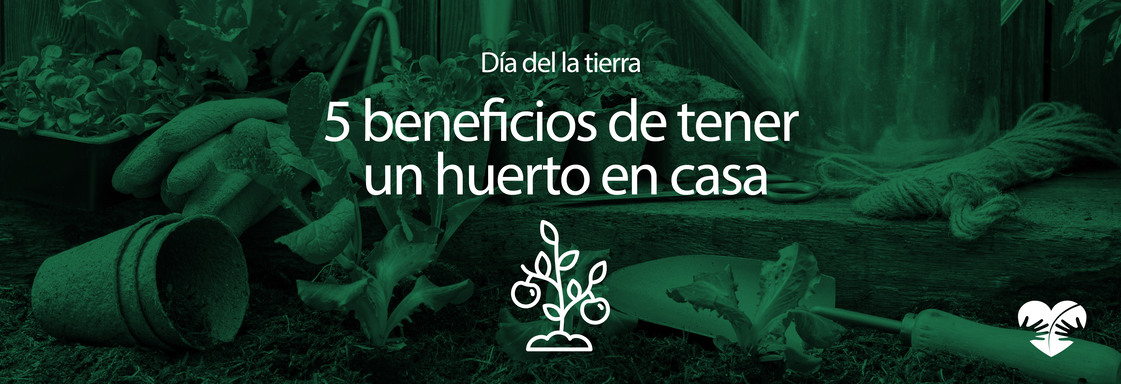 Imagen con foto de una persona en un jardín cortando unas plantas y encima el texto 5 beneficios de tener un huerto en casa