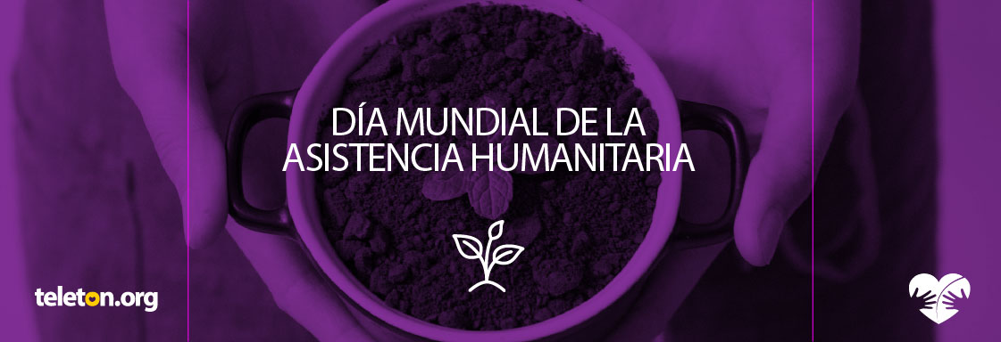 Imagen con foto con filtro morado de unas manos sosteniendo una maceta y encima el texto en blanco que dice: Día Mundial de la Asistencia Humanitaria